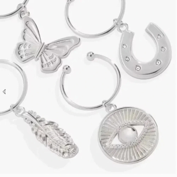 Alex and Ani Wine Glass Charm Set of 4 - Picture 2 of 3